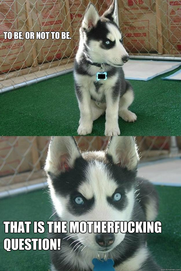 To be, or not to be. That is the motherfucking question!  Insanity puppy