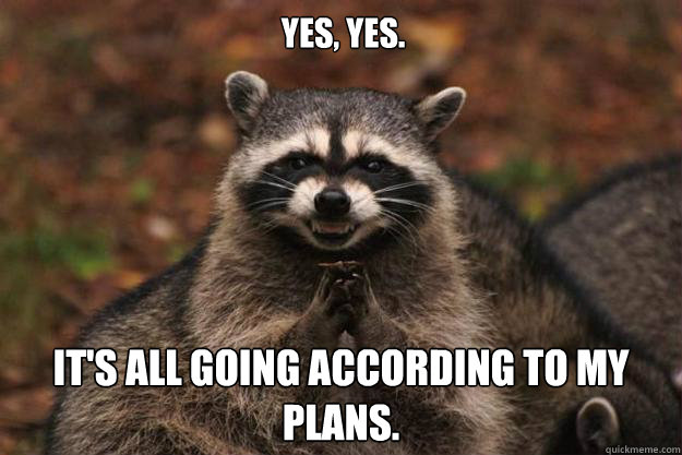 Yes, Yes.
 It's all going according to my plans.
  Evil Plotting Raccoon
