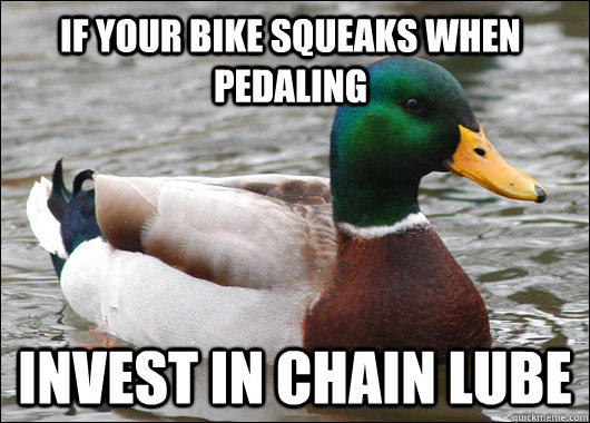 If your bike squeaks when pedaling invest in chain lube  Actual Advice Mallard