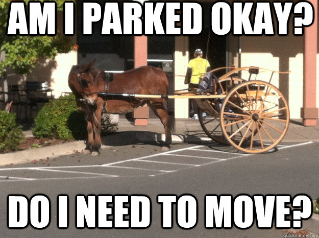 am i parked okay? do i need to move? - am i parked okay? do i need to move?  insecure donkey