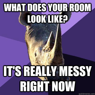 What does your room look like? It's really messy right now - What does your room look like? It's really messy right now  Sexually Oblivious Rhino