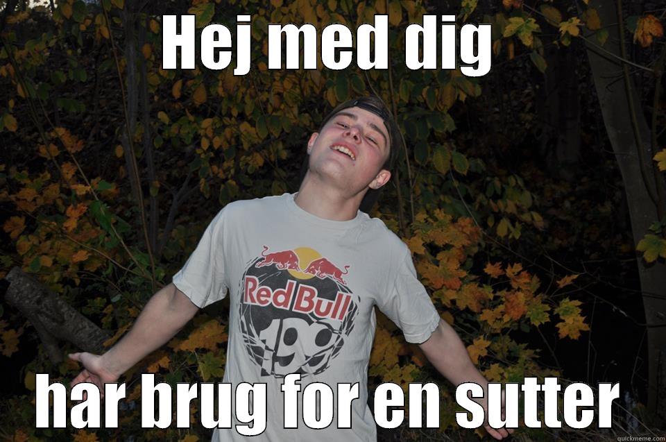 HEJ MED DIG HAR BRUG FOR EN SUTTER Misc