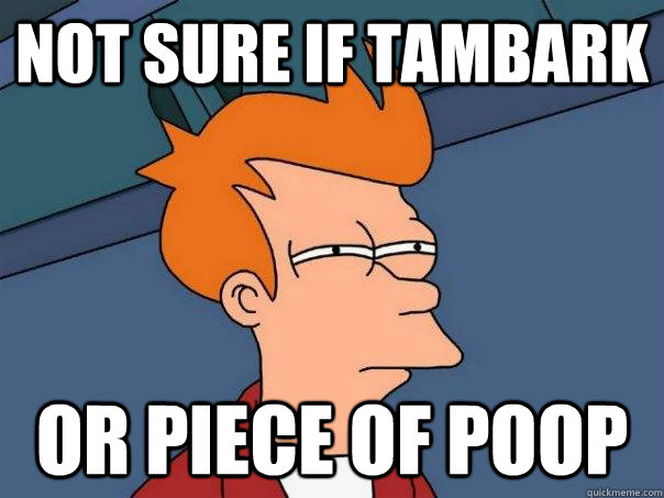 Not sure if tambark Or piece of poop - Not sure if tambark Or piece of poop  Futurama Fry