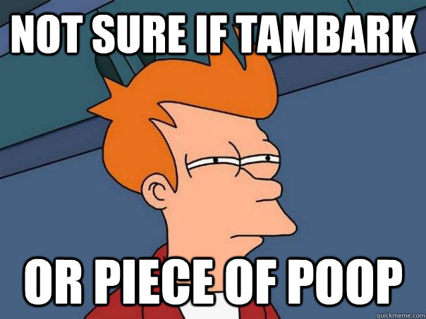 Not sure if tambark Or piece of poop  Futurama Fry