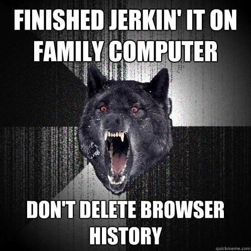 Finished Jerkin' it on Family computer Don't delete Browser History  Insanity Wolf