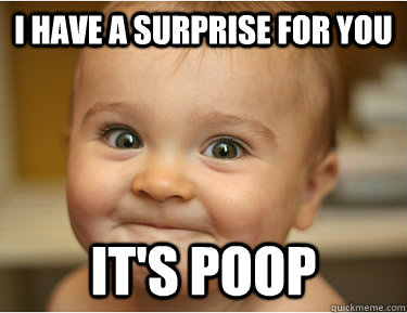 i have a surprise for you it's poop - i have a surprise for you it's poop  Misc