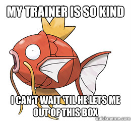 my trainer is so kind i can't wait 'til he lets me out of this box  