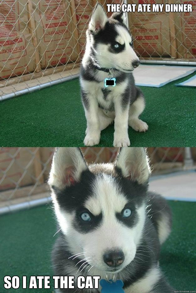 The cat ate my dinner



 So I ate the cat  Insanity puppy