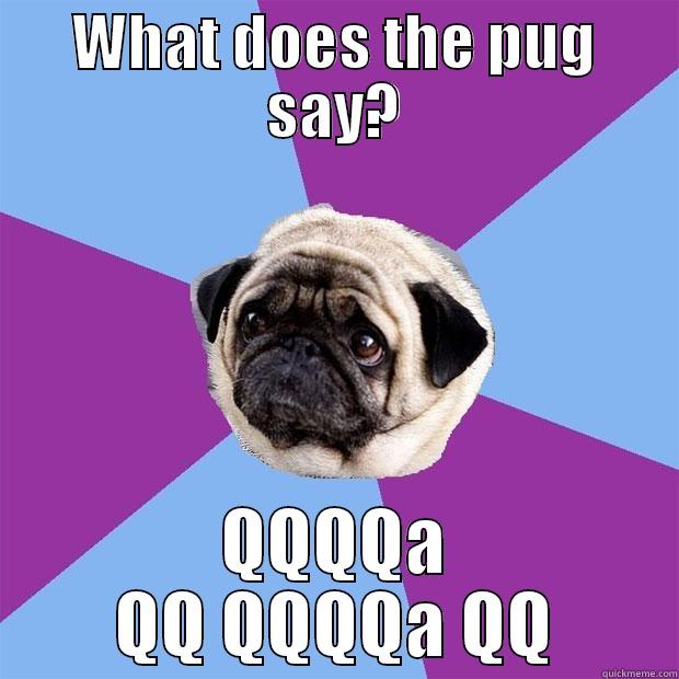 WHAT DOES THE PUG SAY? QQQQA QQ QQQQA QQ Lonely Pug