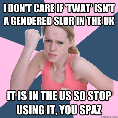 I don't care if 'twat' isn't a gendered slur in the UK It is in the US so stop using it, you spaz  