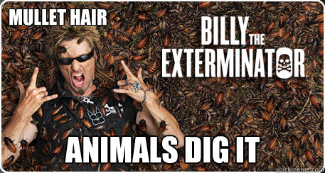 mullet hair Animals Dig it  Exterminator Billy