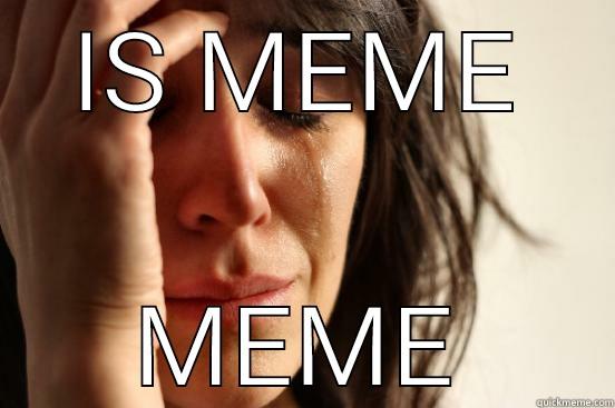 epic meme - IS MEME MEME First World Problems