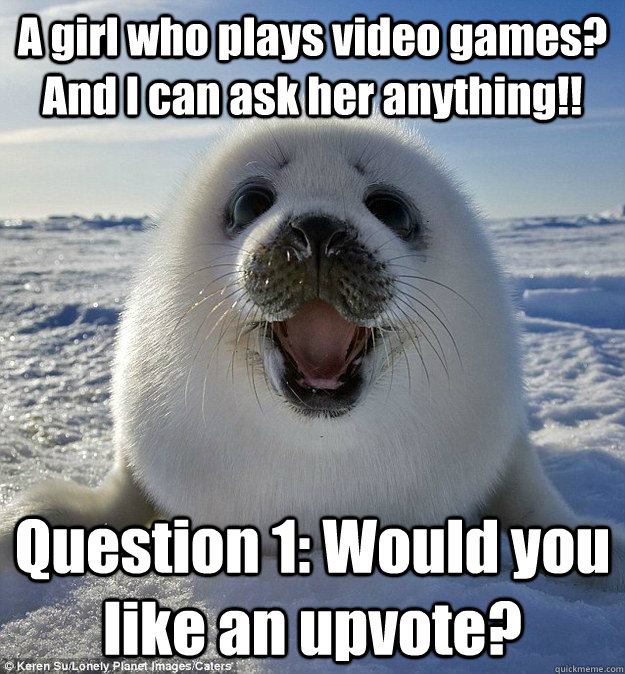 A girl who plays video games?  And I can ask her anything!! Question 1: Would you like an upvote?  Easily Pleased Seal
