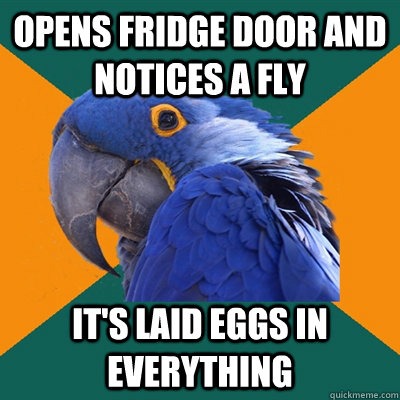 Opens fridge door and notices a fly IT'S LAID EGGS IN EVERYTHING  Paranoid Parrot