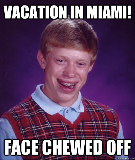 Vacation In Miami! Face Chewed Off  Bad Luck Brian