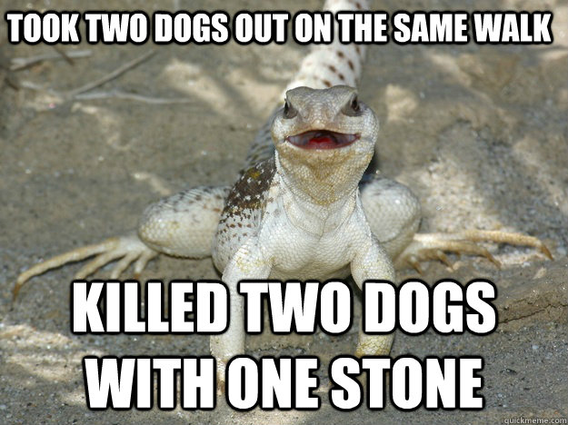 Took two dogs out on the same walk Killed two dogs with one stone - Took two dogs out on the same walk Killed two dogs with one stone  Misc
