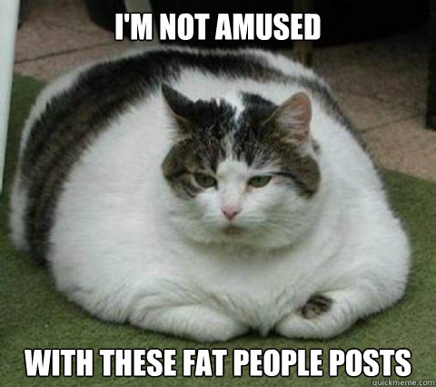 i'm not amused with these fat people posts  Chubby Cat