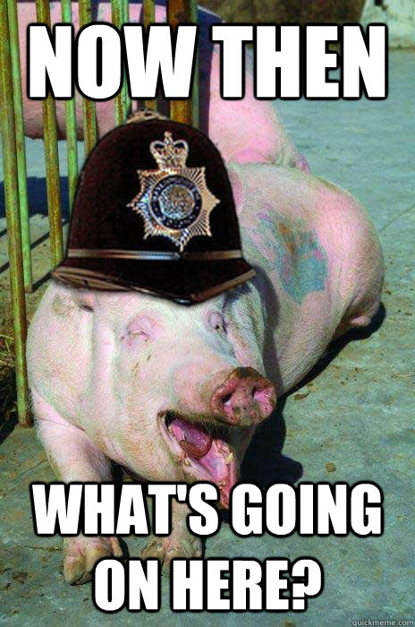Now then What's going on here?  Police Pig