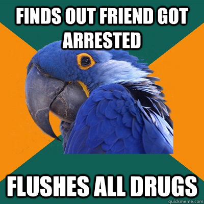Finds out Friend Got arrested Flushes all drugs  Paranoid Parrot