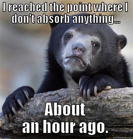 I REACHED THE POINT WHERE I DON'T ABSORB ANYTHING... ABOUT AN HOUR AGO. Confession Bear