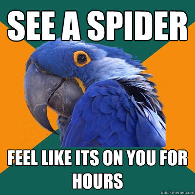 See a spider Feel like its on you for hours  Paranoid Parrot