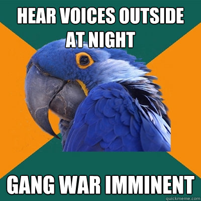 Hear voices outside at night gang war imminent   Paranoid Parrot