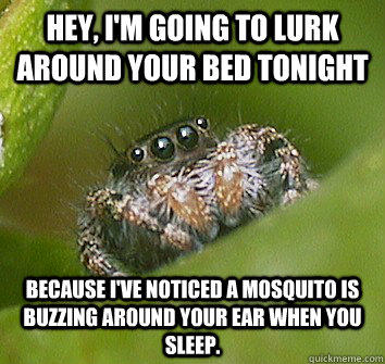 Hey, I'm going to lurk around your bed tonight Because I've noticed a mosquito is buzzing around your ear when you sleep.  Misunderstood Spider