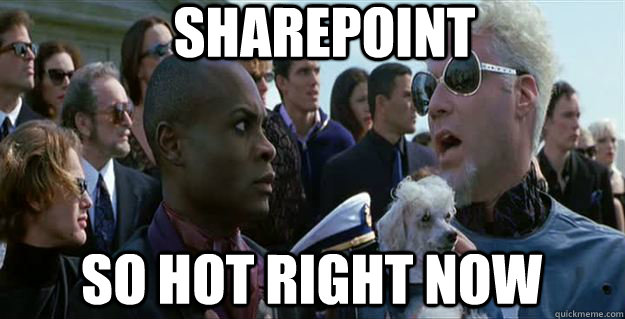 Sharepoint so hot right now  Mugatu