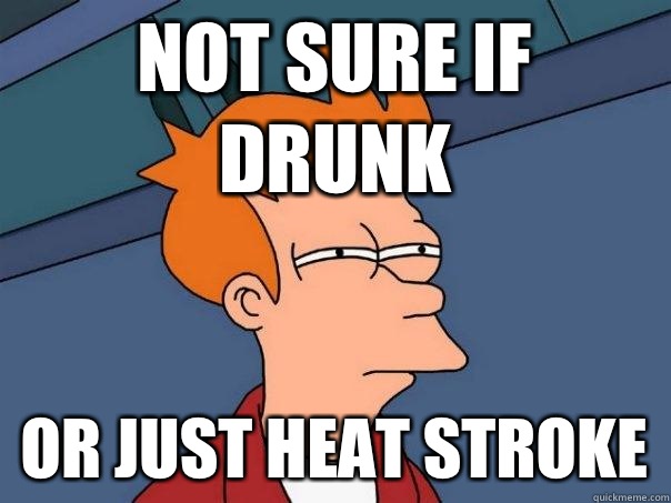 not sure if drunk or just heat stroke - not sure if drunk or just heat stroke  Futurama Fry