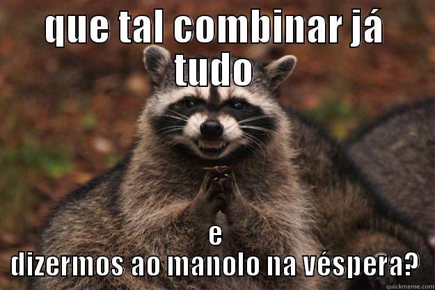 QUE TAL COMBINAR JÁ TUDO E DIZERMOS AO MANOLO NA VÉSPERA? Evil Plotting Raccoon
