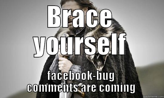 BRACE YOURSELF FACEBOOK-BUG COMMENTS ARE COMING Misc
