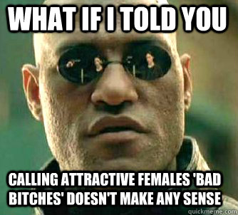 what if i told you calling attractive females 'bad bitches' doesn't make any sense  Matrix Morpheus