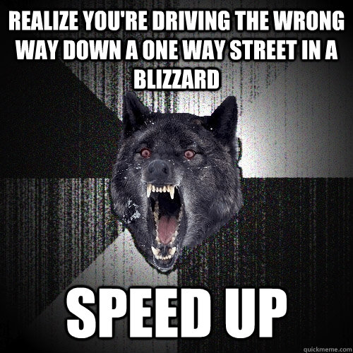 Realize you're driving the wrong way down a one way street in a blizzard Speed up - Realize you're driving the wrong way down a one way street in a blizzard Speed up  Insanity Wolf