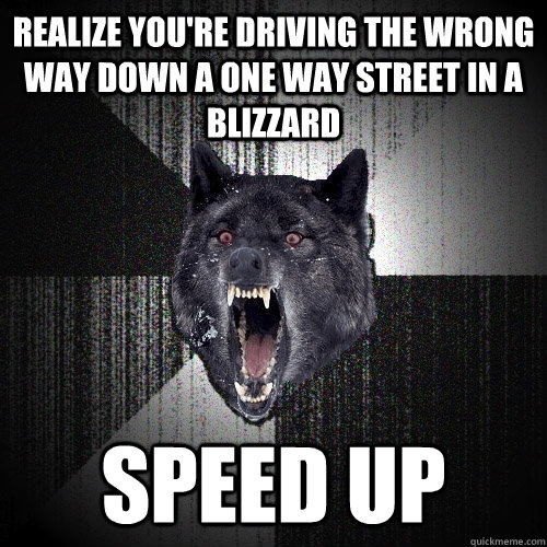 Realize you're driving the wrong way down a one way street in a blizzard Speed up  Insanity Wolf