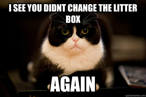 i see you didnt change the litter box again - i see you didnt change the litter box again  Misc