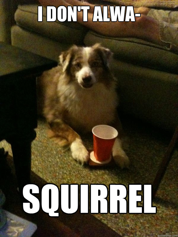 I don't alwa- squirrel  Drink Dog