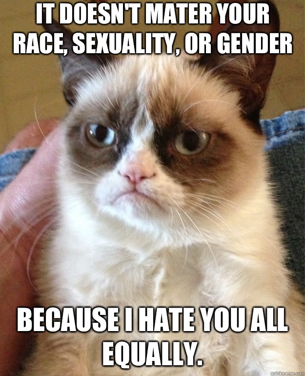 It doesn't mater your race, sexuality, or gender Because I hate you all equally. - It doesn't mater your race, sexuality, or gender Because I hate you all equally.  Misc