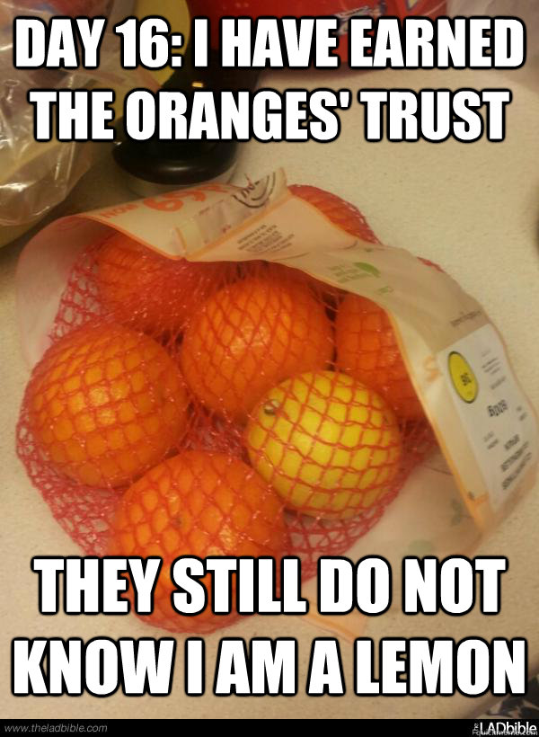 Day 16 I have earned the oranges' trust They still do not know I am a lemon Turning into a