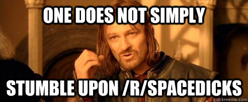 One does not simply stumble upon /r/spacedicks  One Does Not Simply