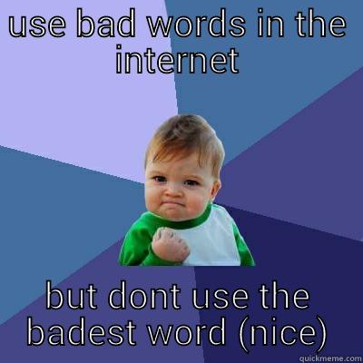 USE BAD WORDS IN THE INTERNET BUT DONT USE THE BADEST WORD (NICE) Success Kid