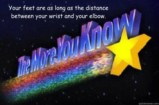 Your feet are as long as the distance between your wrist and your elbow. - Your feet are as long as the distance between your wrist and your elbow.  The More You Know