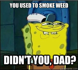 You used to smoke weed  Didn't you, Dad? - You used to smoke weed  Didn't you, Dad?  Baseball Spongebob