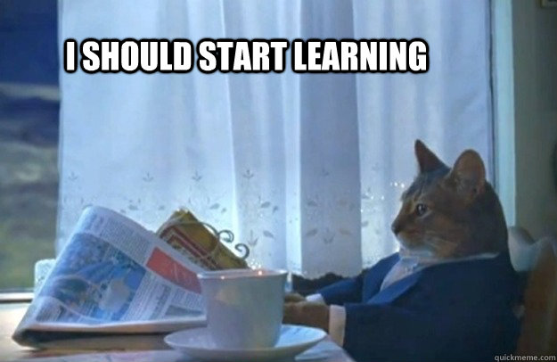 i should start learning  Sophisticated Cat