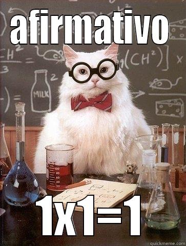 AFIRMATIVO 1X1=1 Chemistry Cat