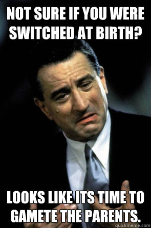 Not sure if you were switched at birth? Looks like its time to gamete the parents. - Not sure if you were switched at birth? Looks like its time to gamete the parents.  DeNiros Solutions