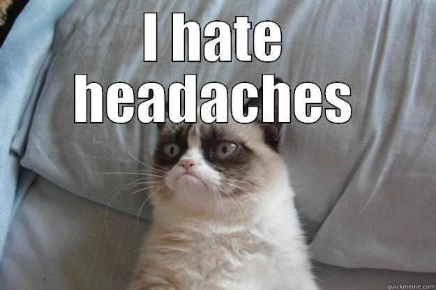 I hate headaches - I HATE HEADACHES  Grumpy Cat
