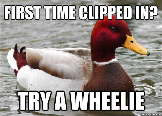first time clipped in?
 try a wheelie  Malicious Advice Mallard