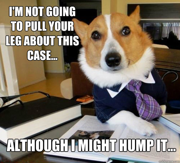 I'm not going to pull your leg about this case... although I might hump it...  Lawyer Dog