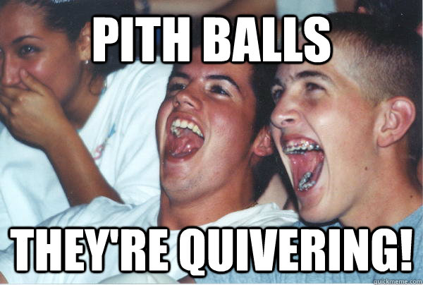 PITH BALLS THEY'RE QUIVERING!   Immature High Schoolers