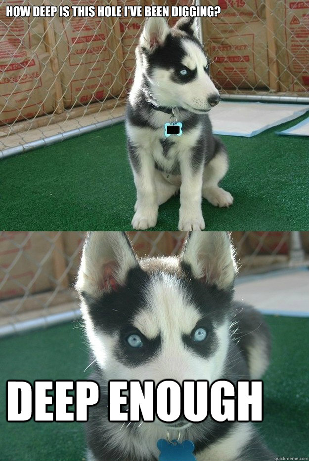 How deep is this hole I've been digging? deep enough  Insanity puppy